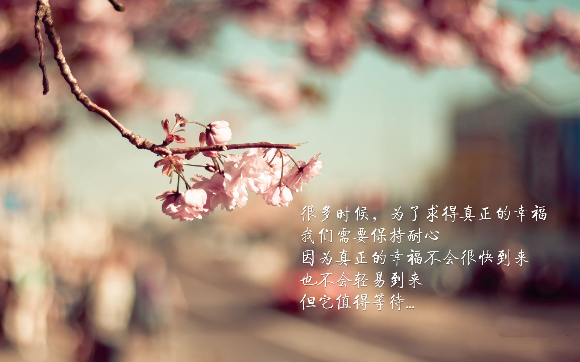 KAIYUNAPP-NBA新兴市场拓展策略，全球化步伐不断推进，nba 新球