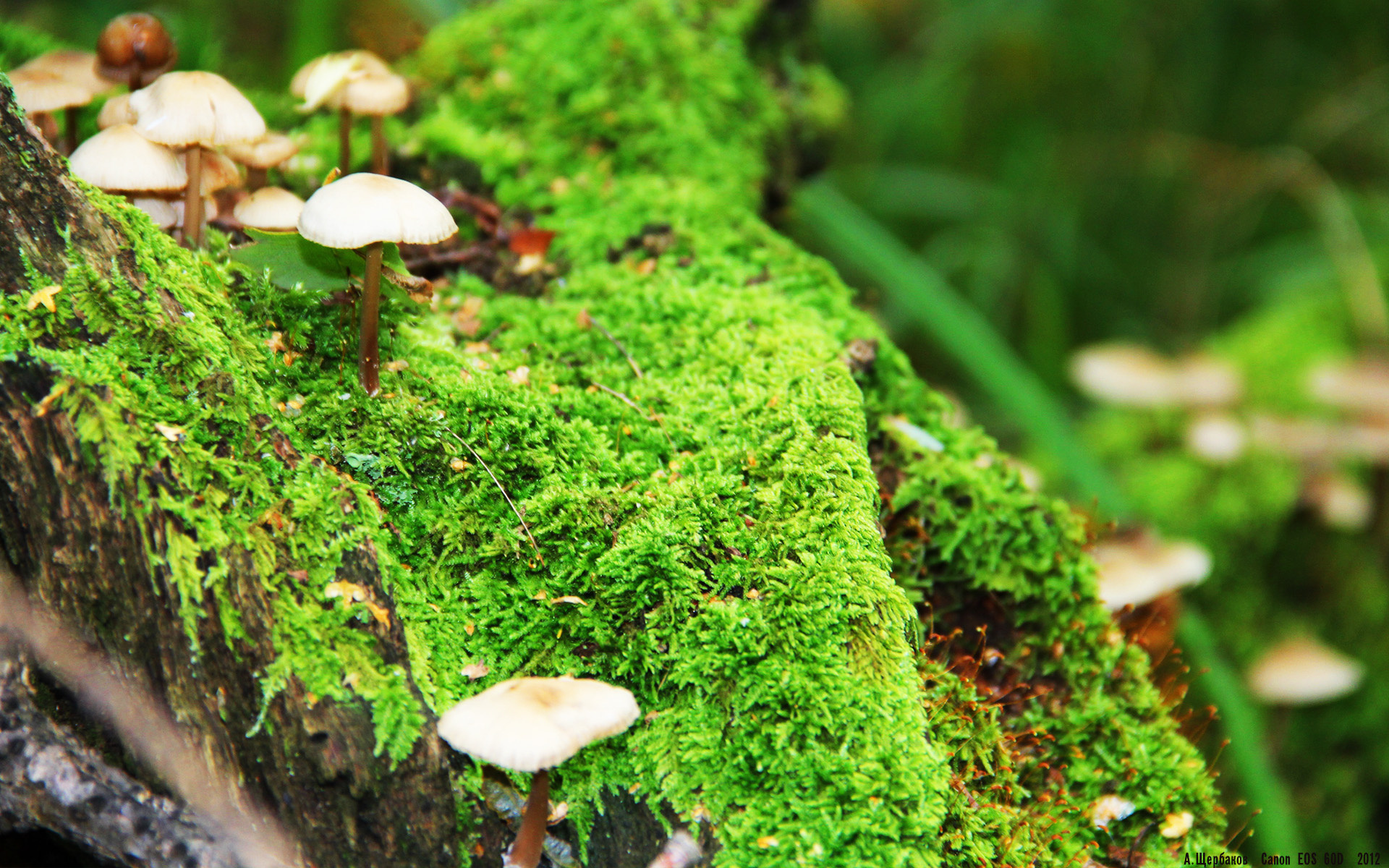 Kaiyun(中国)开云-_康复体育创新：科技助力运动伤后恢复_，运动康复项目介绍