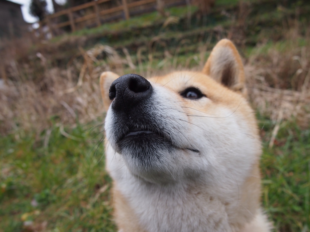 开云·体育官网APP下载-_城市高空冲浪：极限运动新体验_，水上高空冲浪