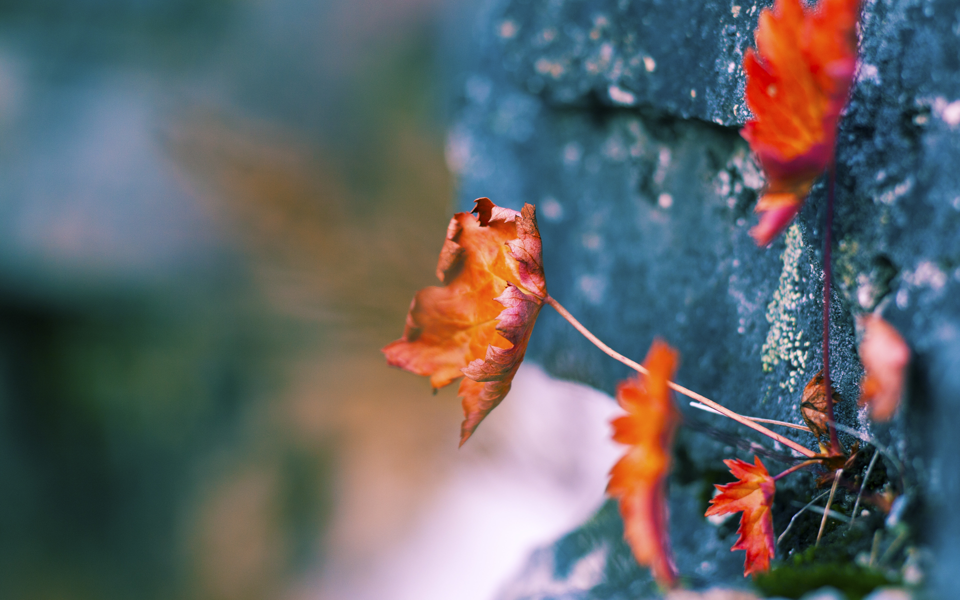 开云-_未来都市：高科技智能场馆带来的比赛新体验_，智能科技展厅设计方案