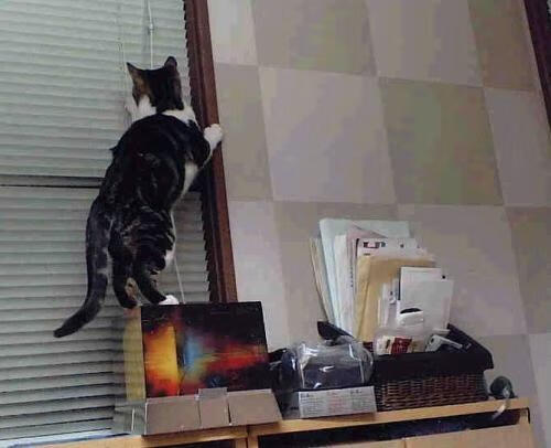 开云网页版-“中国女足在国际比赛中继续创造佳绩，逐步迈向世界舞台”，中国女足出线渺茫