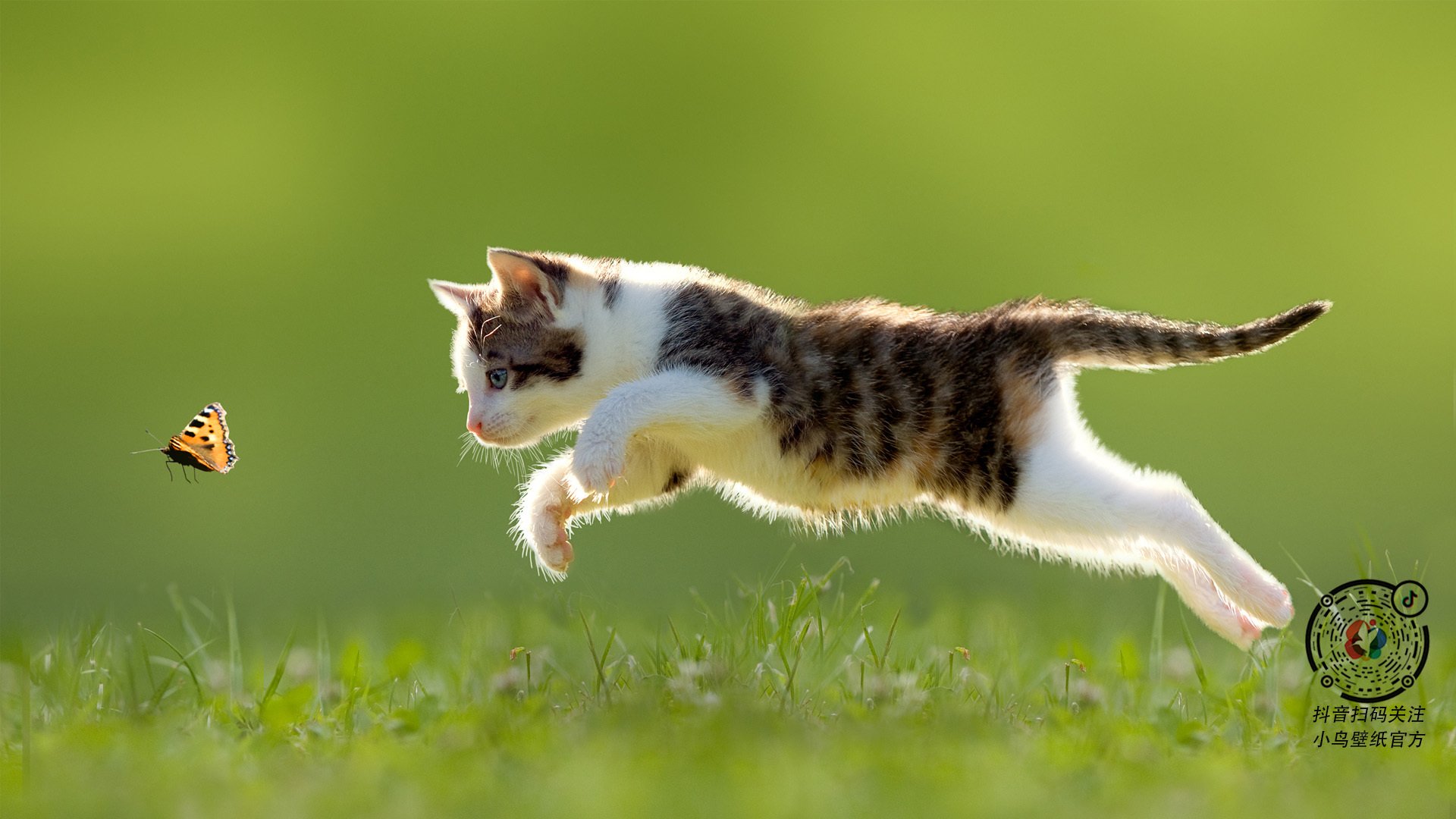 开云官网APP下载-“赛季最激烈系列赛，比分胶着引发全场惊呼”，比分多少了