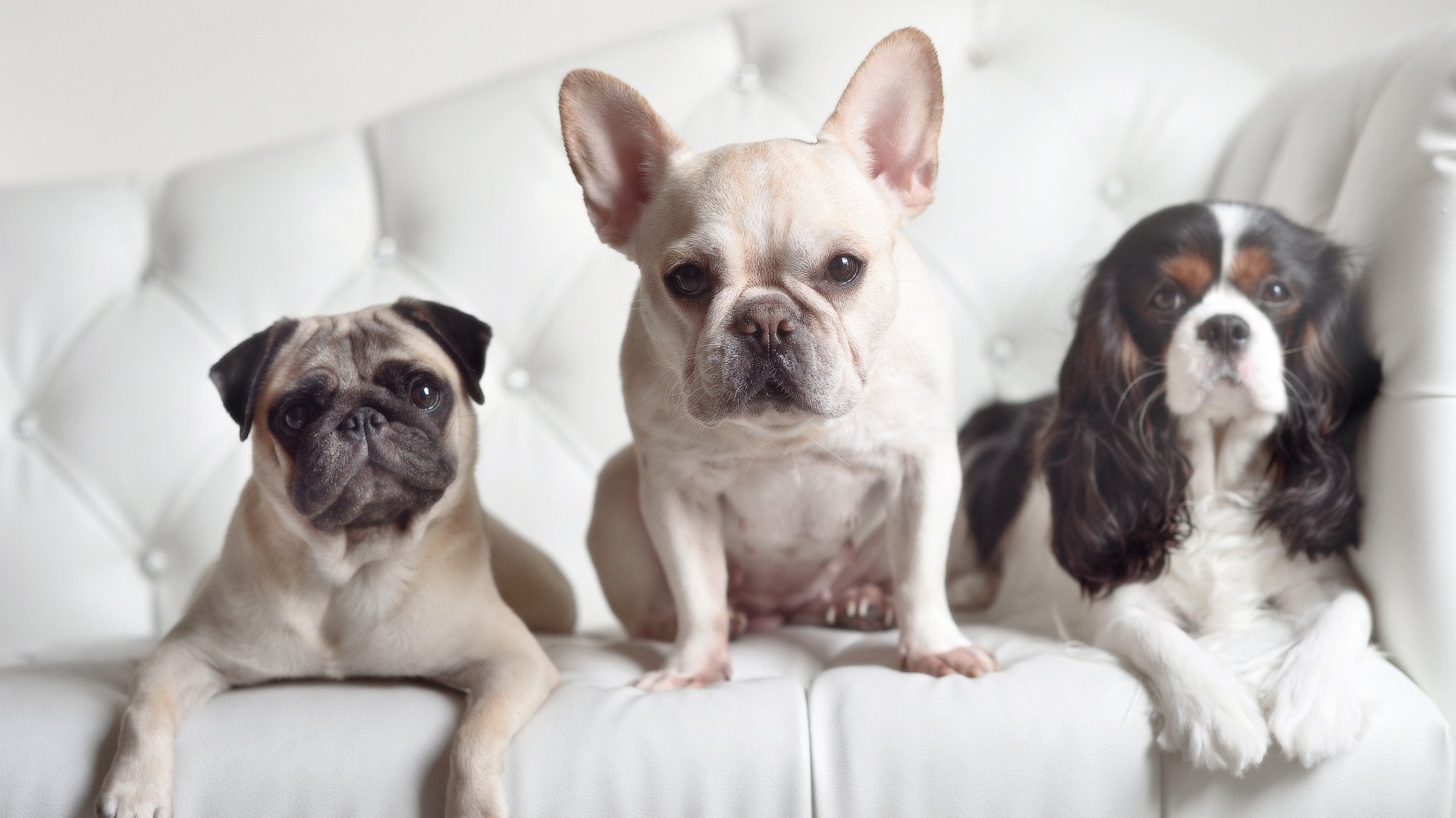 开云官网登录-“青少年足球装备升级，专业化设备普及全国”，青少年足球比赛用鞋规定