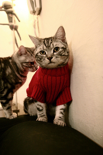 开云首页登录-《电竞领域新兴产业：从硬件到赛事策划全线布局》，电竞行业解读