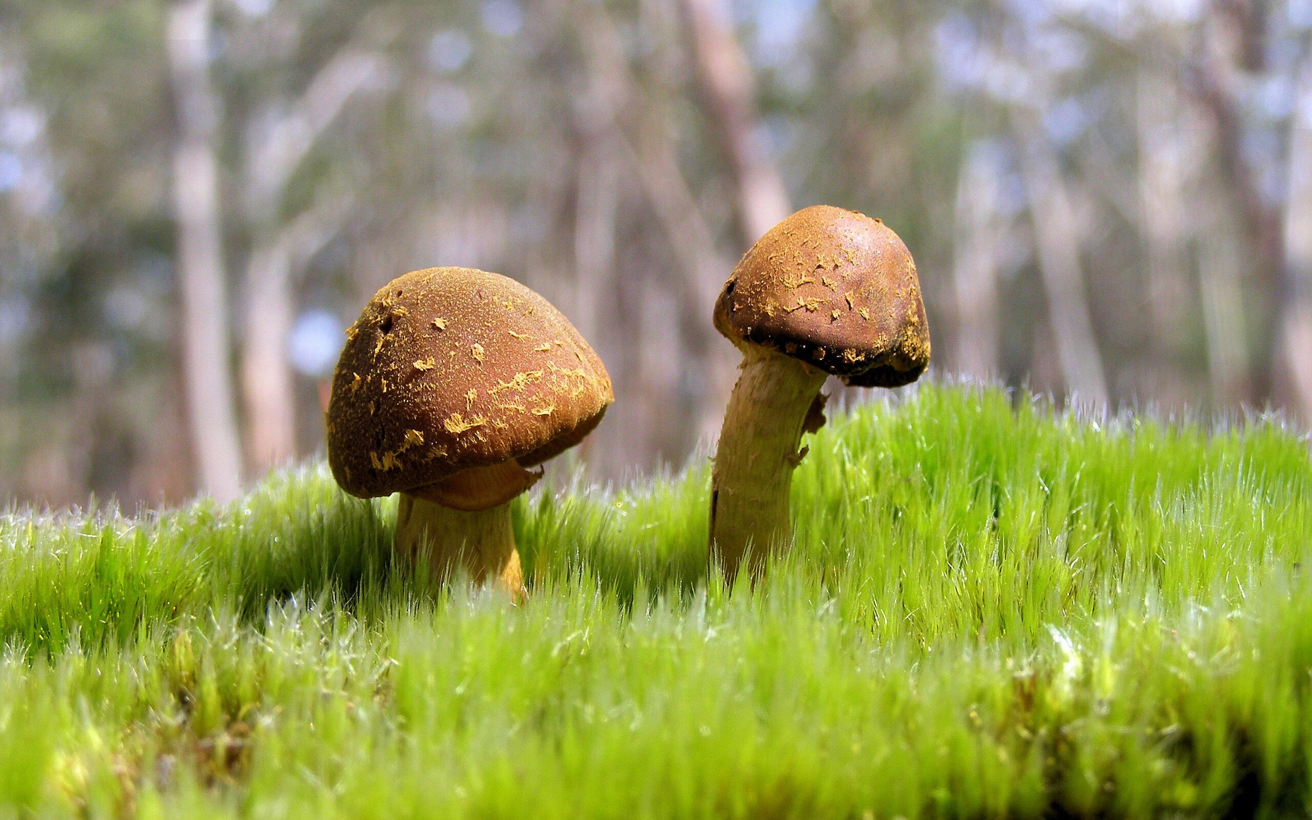 kaiyun登录入口-中国足球外援政策调整，吸引更多外籍球员，中国国家足球队外援