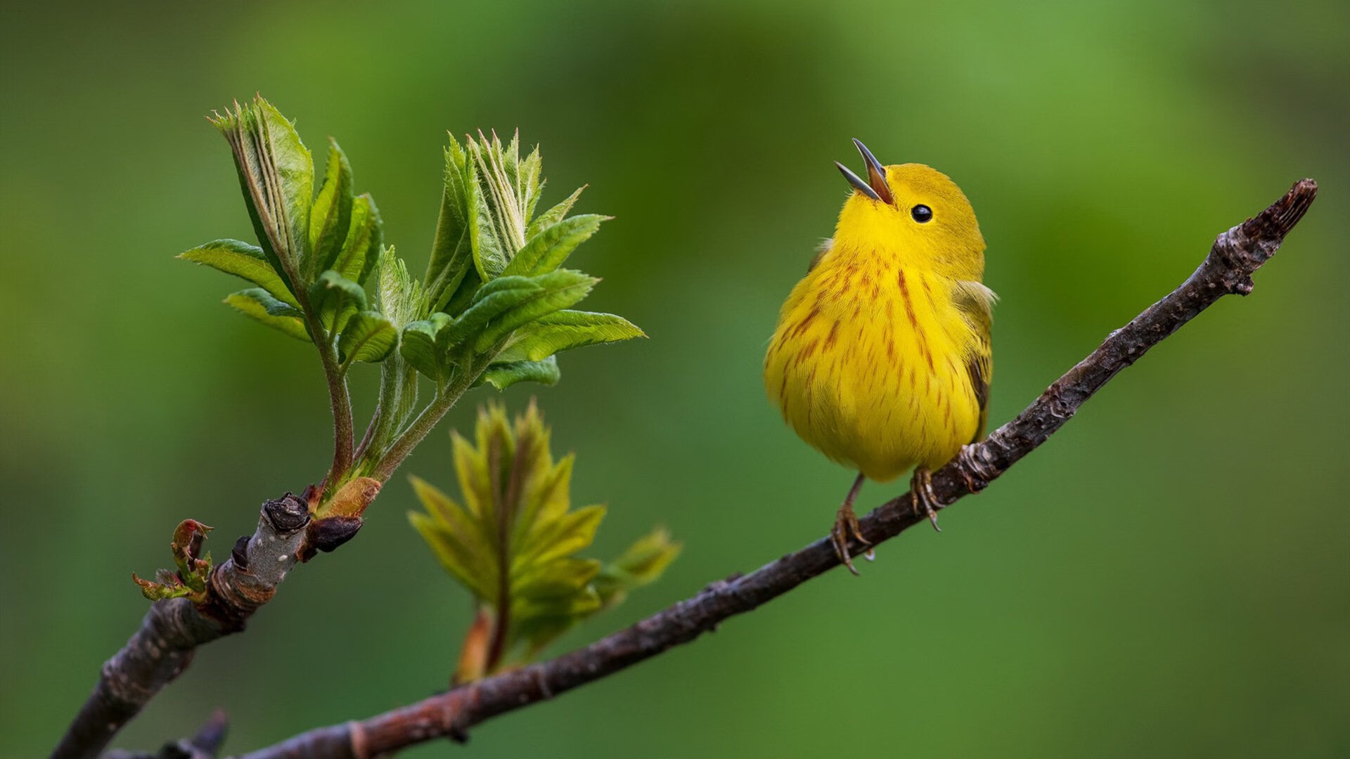 Kaiyun(中国)开云-篮球运动员专项技术训练成效明显，专业篮球运动员的训练方法