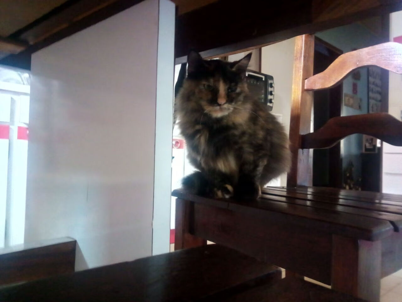 开云·体育全站登录地址-费兰·托雷斯再创佳绩，带领皇马扩大领先优势，费兰·托雷斯集锦