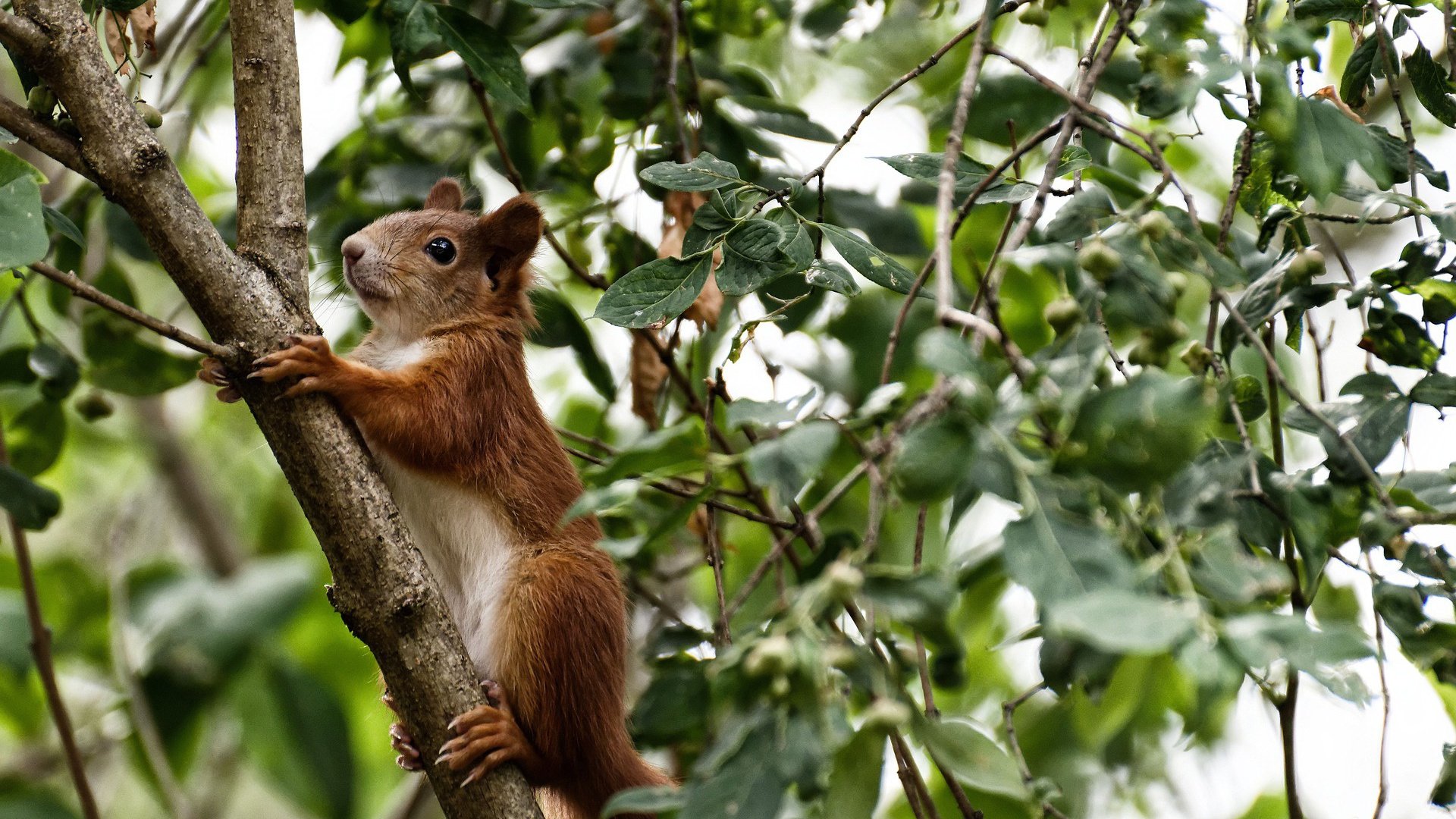 开云平台-湖人主场爆发全员得分，湖人主场是哪