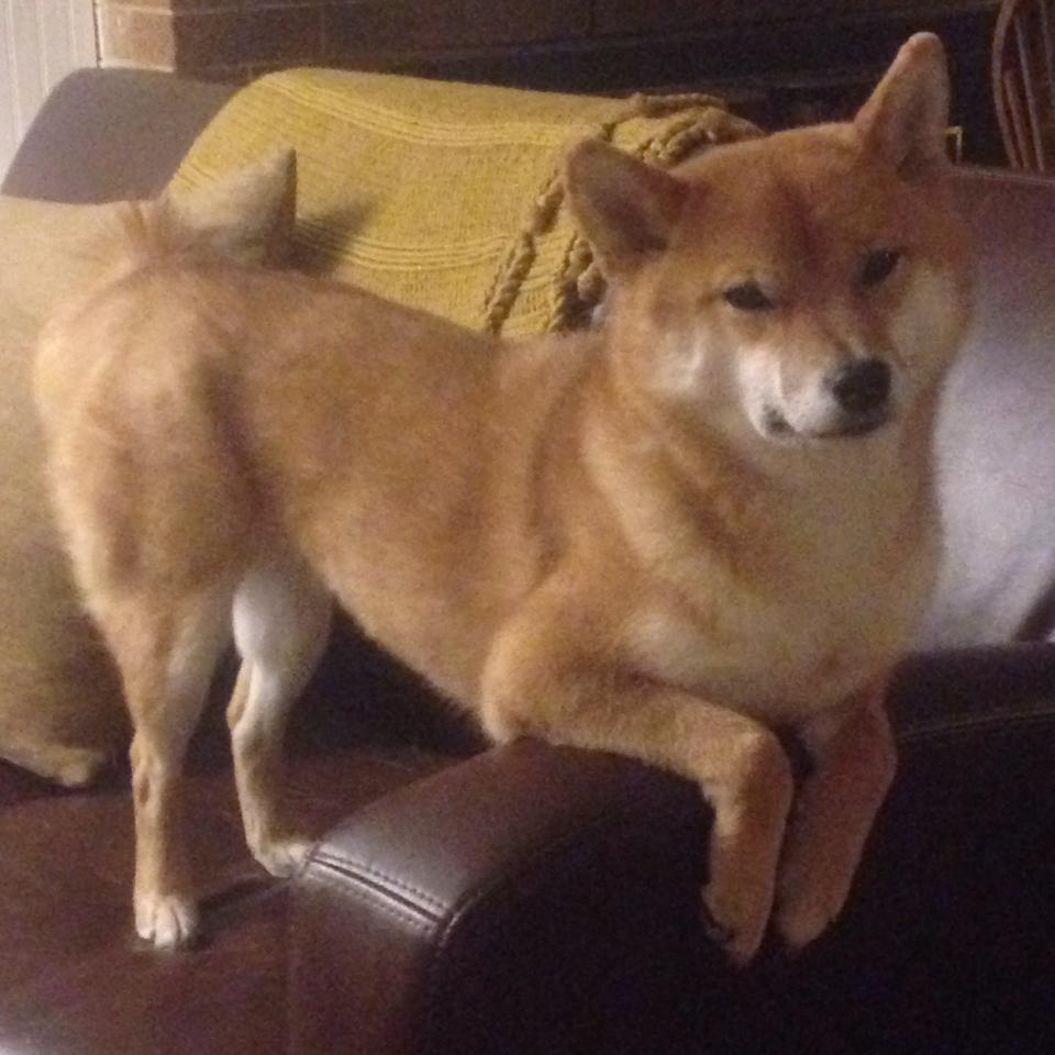 开云在线直播-顶尖球队之间的较量引人注目，赛事精彩纷呈，顶级球员