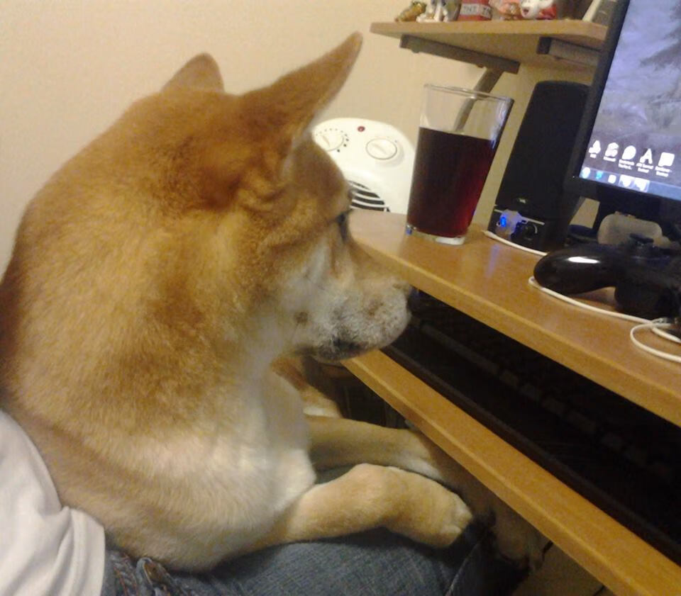 开云官网APP下载-亚冠联赛中国女足惨败 球迷呼吁提高技战术，中国女足亚预赛