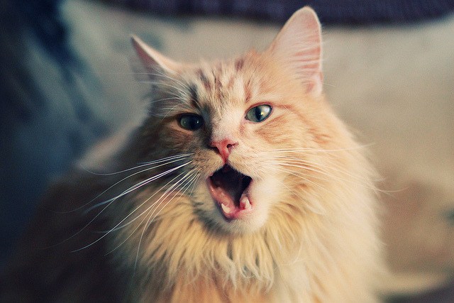 开云体育在线赛事直播-中国足球国家队技术战术演练成效明显，中国足球技术档案