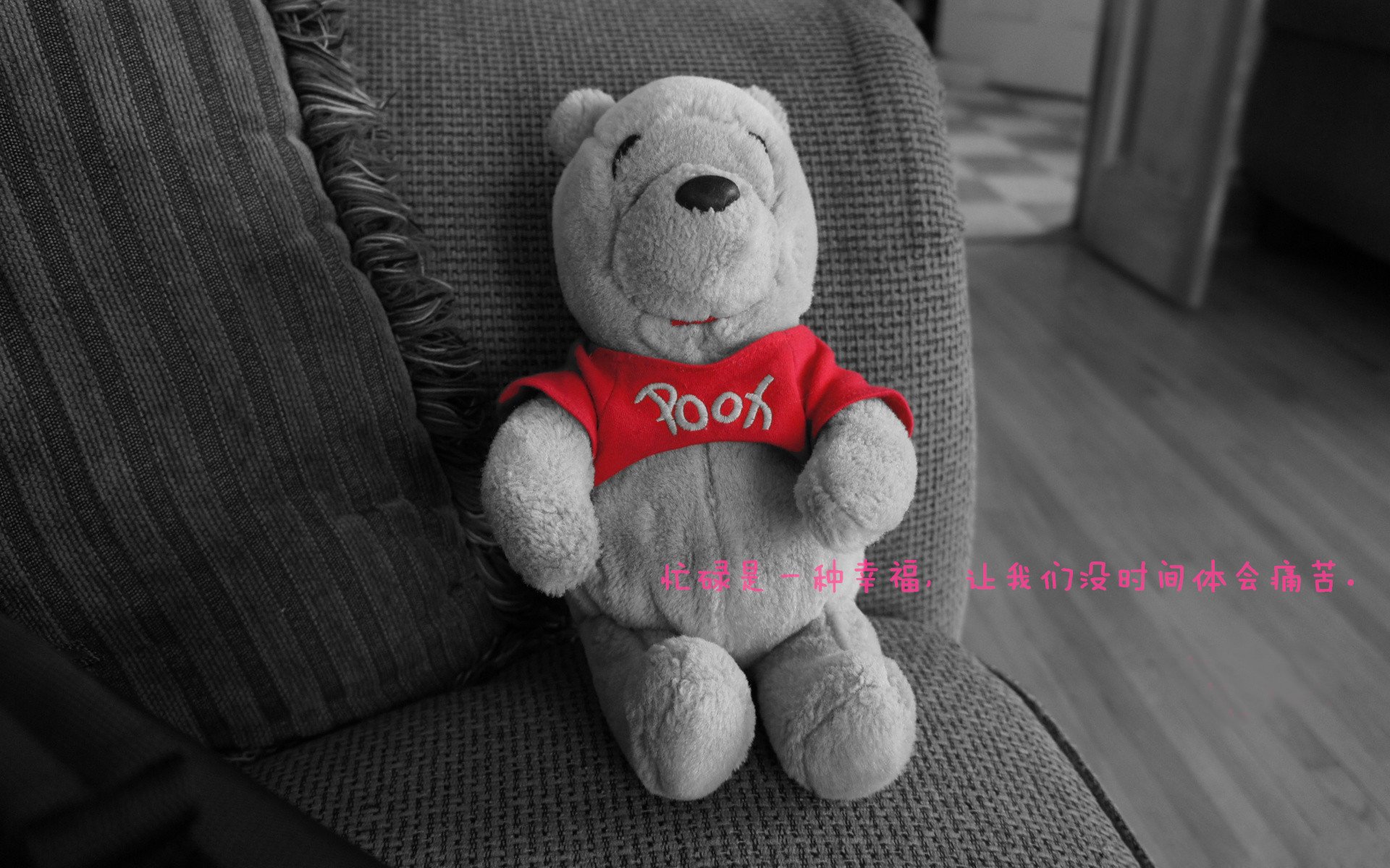 开云·体育官网APP下载-帕特森引领袋鼠队形成致命反击，成为战术核心，帕特森拳击