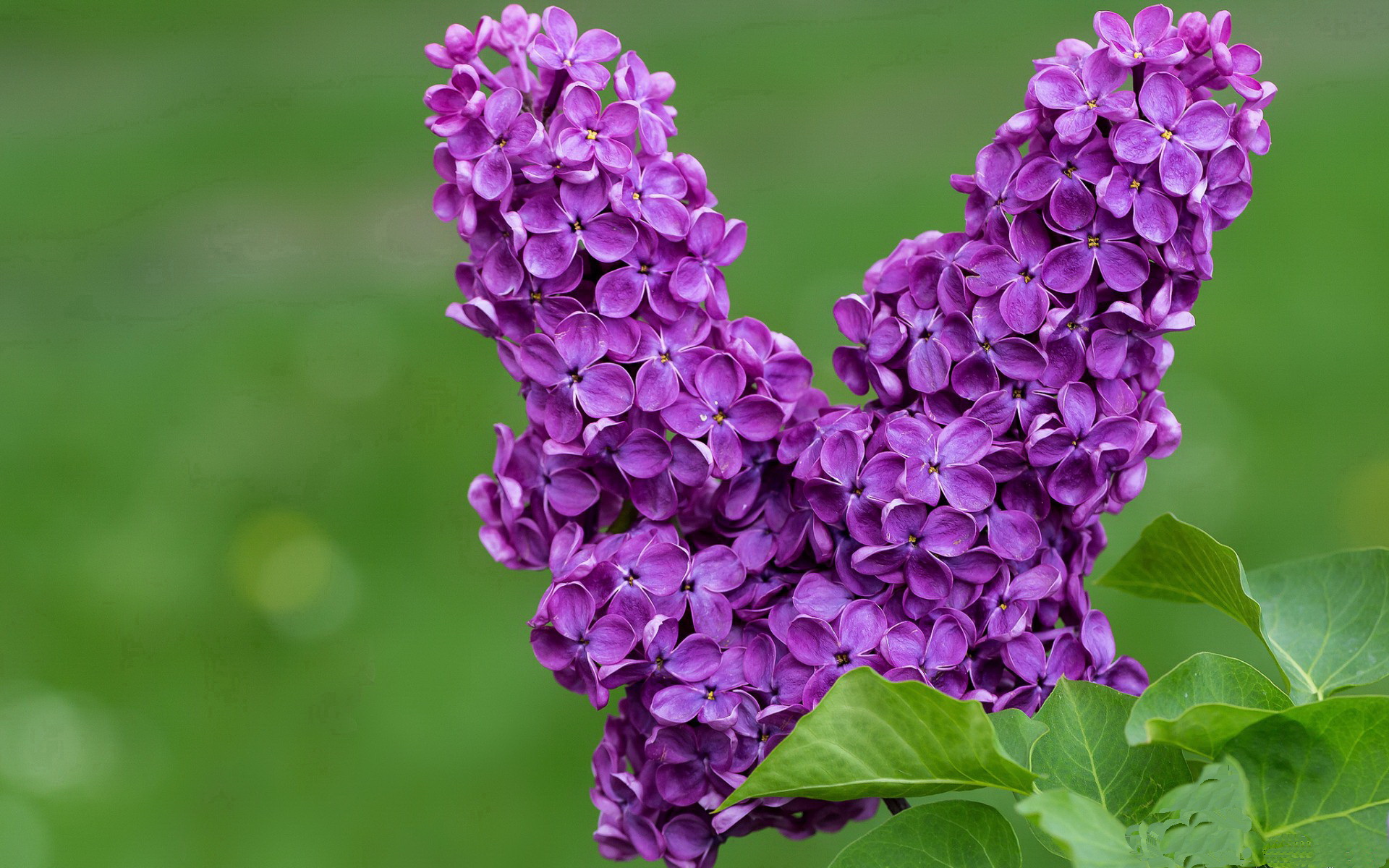 开云官网APP下载-数字化青训平台实现跨地区联动，培育多层次足球人才