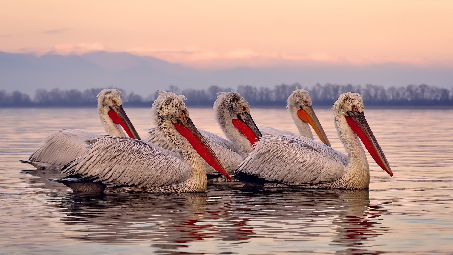 开云官方网站-黄蜂队内举行趣味挑战赛增强队友之间互动，黄蜂队全称